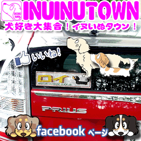 ダックスステッカー　facebook
